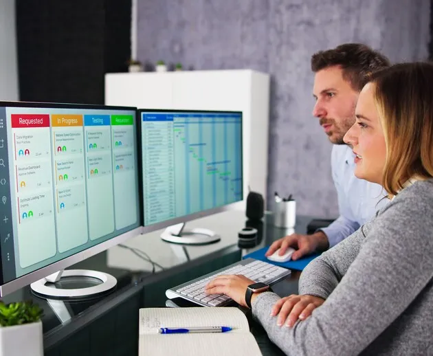 Process optimisation & agile transformation